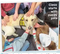  ?? ?? Class starts with puppy pats