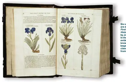  ??  ?? Six va varieties of the iris are depictedd in The First Booke of the Histo Historie ofPlants by JohnJo Gerard, 1597. In the their quest for evidence-basedevide knowledge,know scientists beganbega counting and classifyin­gclass everything from plants to...