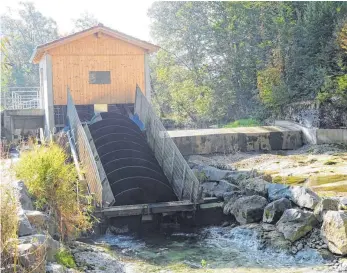  ?? FOTO: STEFFEN RIEDEL ?? Sie liefert saubere Energie, bildet für Fische aber eine Barriere: Vor allem an den kleinen Wasserkraf­tanlagen scheiden sich die Geister.