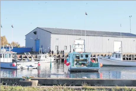  ?? SUEANN MUSICK/THE NEWS ?? Fishing boats surround a survey boat that was forced to return to Pier C in Pictou Tuesday by fishermen opposed to Northern Pulp’s plans to pump treated effluent into local waters.