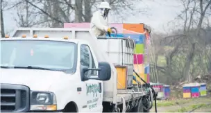  ??  ?? Intermiel enverra moins de ruches au Lac-Saint-Jean cette année. L’entreprise explique sa décision par les faibles prix et le manque d’abeilles.