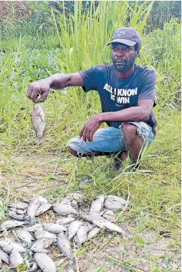  ?? ?? Rio Cobre fisherman Christophe­r Barrett shows dead fish taken from the river in July 2023.