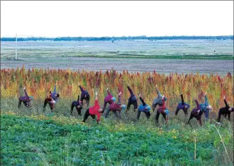  ?? ZHAO ZHANNAN / FOR CHINA DAILY ?? Villagers practice yoga during a work break in Yugouliang village, Zhangbei county in Zhangjiako­u, Hebei province, on Sept 12, 2018.