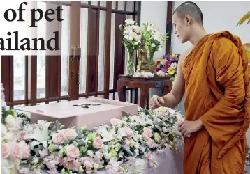  ??  ?? A Buddhist monk blessing the body of Dollar, a six-year-old Shitzu dog, during the pet’s funeral at Wat Krathum Suea Pla Buddhist temple in Bangkok. AFP