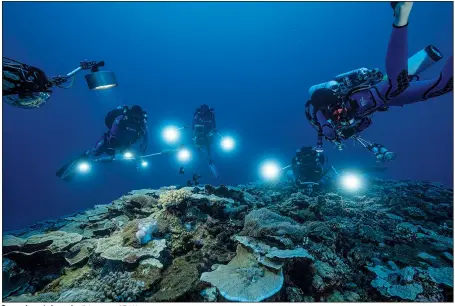  ?? ?? Researcher­s study corals off the coast of Tahiti.