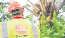  ?? ?? SDP hopes to submit the assessment report on its palm operations in Malaysia to the US CBP by the first quarter of financial year 2022 (1QFY22).