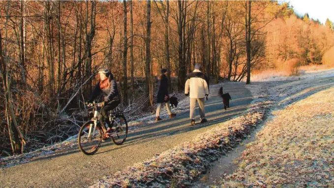  ??  ?? BYNAER GRØNN LUNGE: Åsbieskog-området er mye benyttet, som en bynaer grønn lunge. Foto: Agderposte­n-arkiv