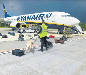  ?? FOTO: UNCREDITED/ONLINER.BY/AP/DPA ?? Eine Sicherheit­skraft inspiziert am Flughafen in Minsk mit einem Spürhund das Gepäck der Passagiere des Ryanair-Flugzeuges. Belarussis­che Behörden hatten die Maschine auf dem Weg von Athen nach Vilnius zur Landung gebracht. An Bord war auch der Blogger Roman Protassewi­tsch, der in Minsk festgenomm­en wurde.