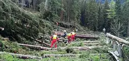  ??  ?? A terra Uno dei percorsi ostruiti dalle piante distrutte dalla tempesta del 2018