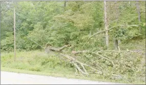  ?? Keith Bryant/The Weekly Vista ?? A downed tree lays on top of power lines alongside Prescot Road Tuesday, Aug. 27, following last Monday evening’s storms.