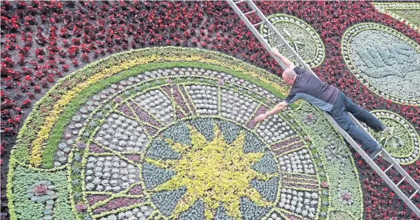  ??  ?? BLOOMING MARVELLOUS: David Dorward from Edinburgh Council Botanical Services adds some finishing touches at the unveiling of the city’s world-famous floral clock