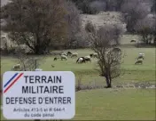  ?? (Photos doc Philippe Arnassan et Frantz Bouton) ?? À Canjuers, le pastoralis­me représente   moutons répartis sur les   hectares du camp militaire. Les parcs et les chiens de protection ne suffisent pas à éviter les attaques de loups.