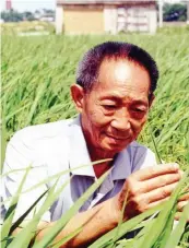  ??  ?? Yuan Longping, China’s “father of hybrid rice.