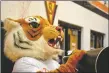 ?? ?? The Taos Tigers mascot amps up the crowd during the game between Taos and Hope Christian on Saturday (March 5).