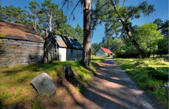  ??  ?? A red-roofed croft and outbuildin­gs, nestling in the shadow of giant trees, signal less remote territory.