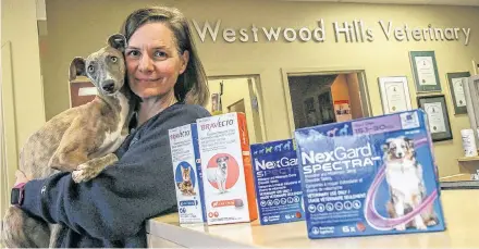  ??  ?? Dr. Jane Corkum and one of her patients, Pepper, are seen with some various tick medicines at her Westwood clinic in Upper Tantallon on Tuesday. TIM KROCHAK/THE CHRONICLE HERALD