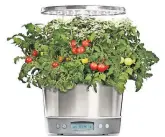  ?? AEROGARDEN ?? An AeroGarden kit, complete with tomatoes. Top, Lettuce Grow’s Farmstand can grow up to 36 plants.