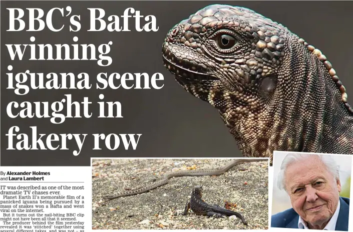  ??  ?? Nail-biting scene: The iguana makes a desperate bid for safety as it outruns a snake. Right: David Attenborou­gh