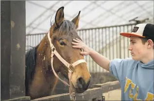  ?? Nicole Craine For The Times ?? AMI KORN, 14, has suffered from brain fog and memory trouble because of long COVID. Equine therapy has helped the Tarzana teen to raise his spirits and structure his time.