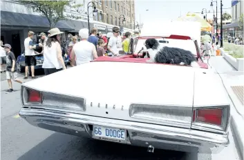  ?? STANDARD FILE PHOTO ?? Passersby did a double-take at a stuffed dog sitting comfortabl­y on a classic Dodge at the annual Downtown Classic Car Show last year in St. Catharines. The event returns to St. Paul Street Saturday.