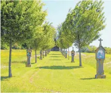  ?? FOTO: BLAUHUT ?? Der Kreuzweg zur Wildenberg­kapelle in Stödtlen-Niederrode­n, eingerahmt von weißen Margeriten­bändern.