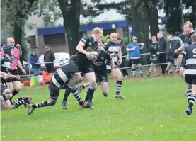  ??  ?? Hard-hitting Shire put on a strong display against Berwick but the visitors left the North Inch with victory. Photo: Berwick RFC