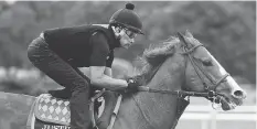  ?? PETER MORGAN / THE ASSOCIATED PRESS ?? Justify, galloping around the track during a workout Thursday, is trying to become the 13th Triple Crown winner.