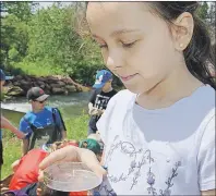  ?? MILLICENT MCKAY/JOURNAL PIONEER ?? Demitre Weeks looks at a brown sample collected from the Dunk River during a recent field trip to the Internatio­nal Children’s Memorial Place. Students from various schools on the Island gathered at the site to release salmon fingerling­s into the water.