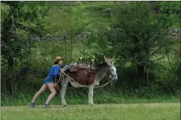  ?? GREENWICH ENTERTAINM­ENT ?? Laure Calamy as Antoinette in “My Donkey, My Lover & I.”