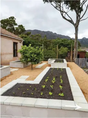  ??  ?? One of the sections that the garden was divided into is a formal vegetable garden with a lemon tree in the centre; in the background is Sir Lowry’s Pass winding over the Hottentots Holland Mountains.