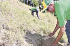  ??  ?? Jornada de reforestac­ión en comunidade­s de San José de las Matas.