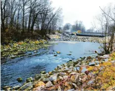  ?? Archivfoto: Silvio Wyszengrad ?? Das Renaturier­ungsprojek­t Wertach vital, hier nördlich des Ackermannw­ehrs in Augsburg-Göggingen, hilft auch den Fischen.