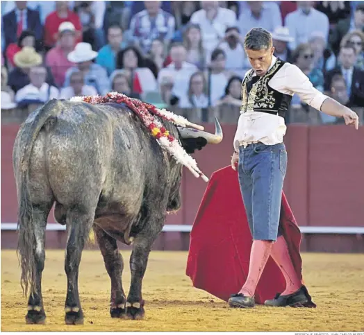  ?? REPORTAJE GRÁFICO: JUAN CARLOS MUÑOZ ?? Con un pantalón vaquero salió de la enfermería Manuel Escribano para escribir una página épica ante el victorino ‘Fisgador’, al que desorejó.