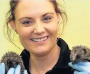  ??  ?? Care Hansel and Gretel are being cared for at the SSPCA animal centre in Fishcross