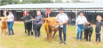  ?? ?? Peter Holloway holds the 2021 Supreme Champion Lifestyle Cow with the other champions in the Lifestyle category also from Woolly Manor Moos of Otaki Forks.