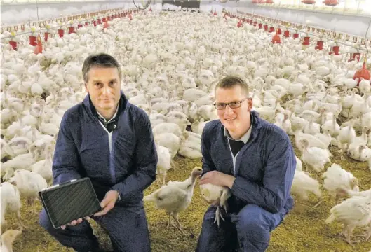  ?? BILD: Klaus-Peter Jordan ?? Die Puten im Stall von Halter Ralf Oltmann (rechts) sind fünf Wochen alt und werden in diesem Alter in einen größeren Stall umgestallt. Dieter Oltmann, Geschäftsf­ührer der NGW und nicht verwandt mit seinem Namensvett­er, sieht in der Digitalisi­erung viele Vorteile; aber er sieht auch noch Probleme.