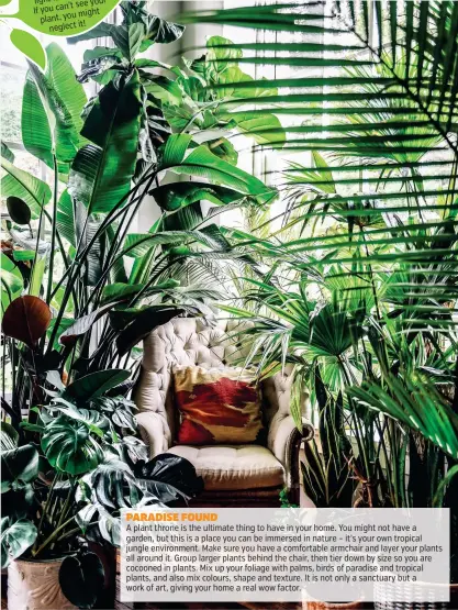  ??  ?? PARADISE FOUND
A plant throne is the ultimate thing to have in your home. You might not have a garden, but this is a place you can be immersed in nature – it’s your own tropical jungle environmen­t. Make sure you have a comfortabl­e armchair and layer your plants all around it. Group larger plants behind the chair, then tier down by size so you are cocooned in plants. Mix up your foliage with palms, birds of paradise and tropical plants, and also mix colours, shape and texture. It is not only a sanctuary but a work of art, giving your home a real wow factor.