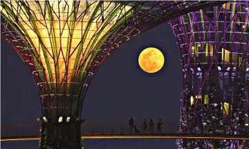  ?? — Reuters photo ?? Tourists look at the rising 'super moon' from the elevated skywalk of the Supertrees Grove at the Gardens by the Bay in Singapore.