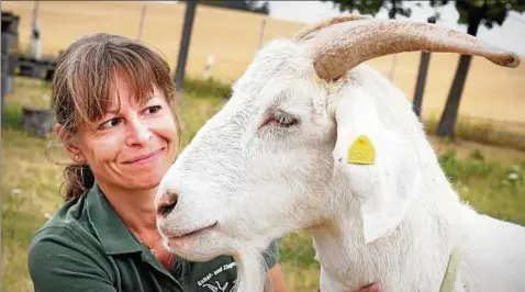  ??  ?? Jana Richter vom Schaf- und Ziegenzuch­tverein Kölleda hält ihre Tiere in Beichlinge­n auf dem Gelände (und in den Ex-Sozialräum­en) der ehemaligen LPG.