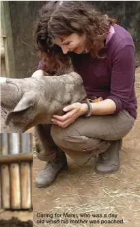  ??  ?? Caring for Manji, who was a day old when his mother was poached.