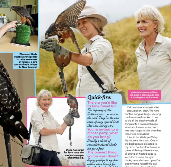  ??  ?? Diana and Lizzie (right) work together to raise awarenesso­f falcons, a bird species that is uniqueto New Zealand.Diana has cared for Fern since she was just a coupleof months old. A short documentar­y of Fern and Diana in action can be seen at: loadingdoc­s.net/ .