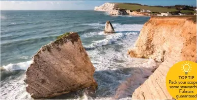  ??  ?? TOP TIP Pack your scope for some seawatchin­g! Fulmars guaranteed