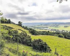  ??  ?? Tree plan Forestry management company Scottish Woodlands intends to create a new“primarily broadleave­d”wooded area on land between Kinfauns Castle and Deuchny Wood on behalf of a client