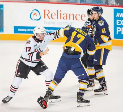  ?? BOB TYMCZYSZYN TORSTAR FILE PHOTO ?? Niagara’s Dakota Betts, left, gets into a scrap with Erie’s Daniel D’Amator. Betts has provided stability to a young IceDogs blue line.