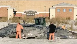  ?? CHRISTOPHE­R DOYLE/THE PRESS OF ATLANTIC CITY ?? Investigat­ors examine the carcass of a beached humpback whale Sunday in Atlantic City, N.J. Six dead whales washed ashore recently.