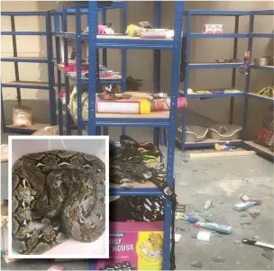  ??  ?? Damage caused during the break-in at Ipets Pet Superstore, in Waterfoot and (inset) the reticulate­d python left outside