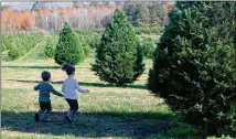  ??  ?? Emmy Adams, 4, and brother Karsen, who turns 3 on Dec. 19, set off to find the perfect tree at Bottoms Christmas Tree Farm in Cumming. What kind of tree did Emmy want? “Huuuuuge!” she said.