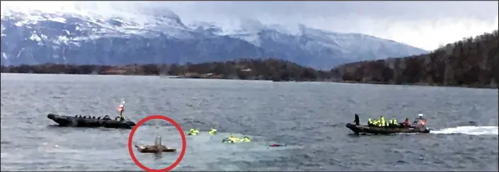  ??  ?? Freak accident: tourists wearing fluorescen­t life jackets plunged into the water off the coast of Norway yesterday after their boat hit a fountain, circled