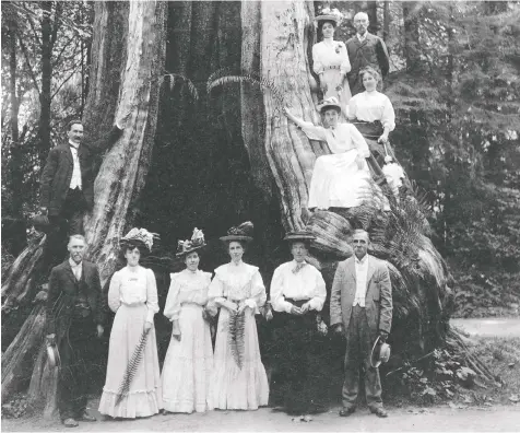  ?? NINA SHOROPLOVA ?? A group portrait at the Hollow Tree, taken between 1905 and 1907, City of Vancouver Archives.