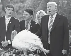  ??  ?? President Trump pardons Drumstick during the national Thanksgivi­ng turkey pardoning ceremony in the Rose Garden of the White House on Tuesday. EVAN VUCCI/AP